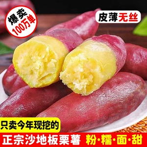 正宗陕西板栗红薯沙地现挖新鲜水果番薯甜山芋地瓜粉糯香甜蜜整箱