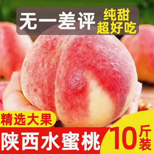 【次日达】爆甜！特大水蜜桃陕西