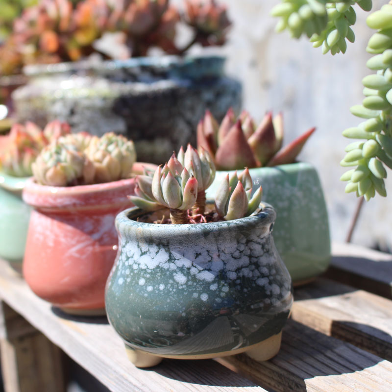 多肉植物花盆简约创意肉肉盆陶窑变瓷花盆小清新拇指盆粗陶迷你盆