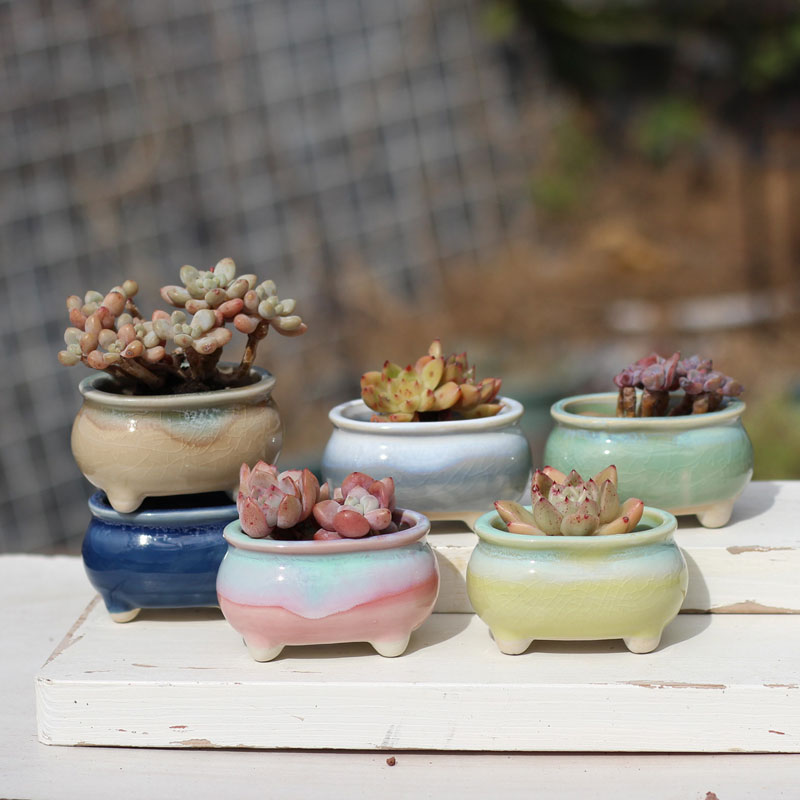 清新多肉花盆陶瓷椭圆形控养白瓷冰裂流釉肉肉盆PP群生室内盆