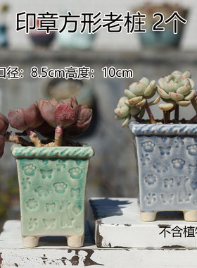 多肉植物冰裂印章花盆老桩方形圆形透气桌面帽檐清新控型粗陶灰色