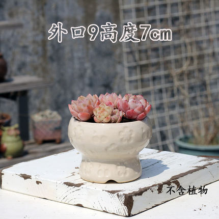 新款印章多肉花盆小号粗陶家用创意简约清新透气植物花器窝口火锅