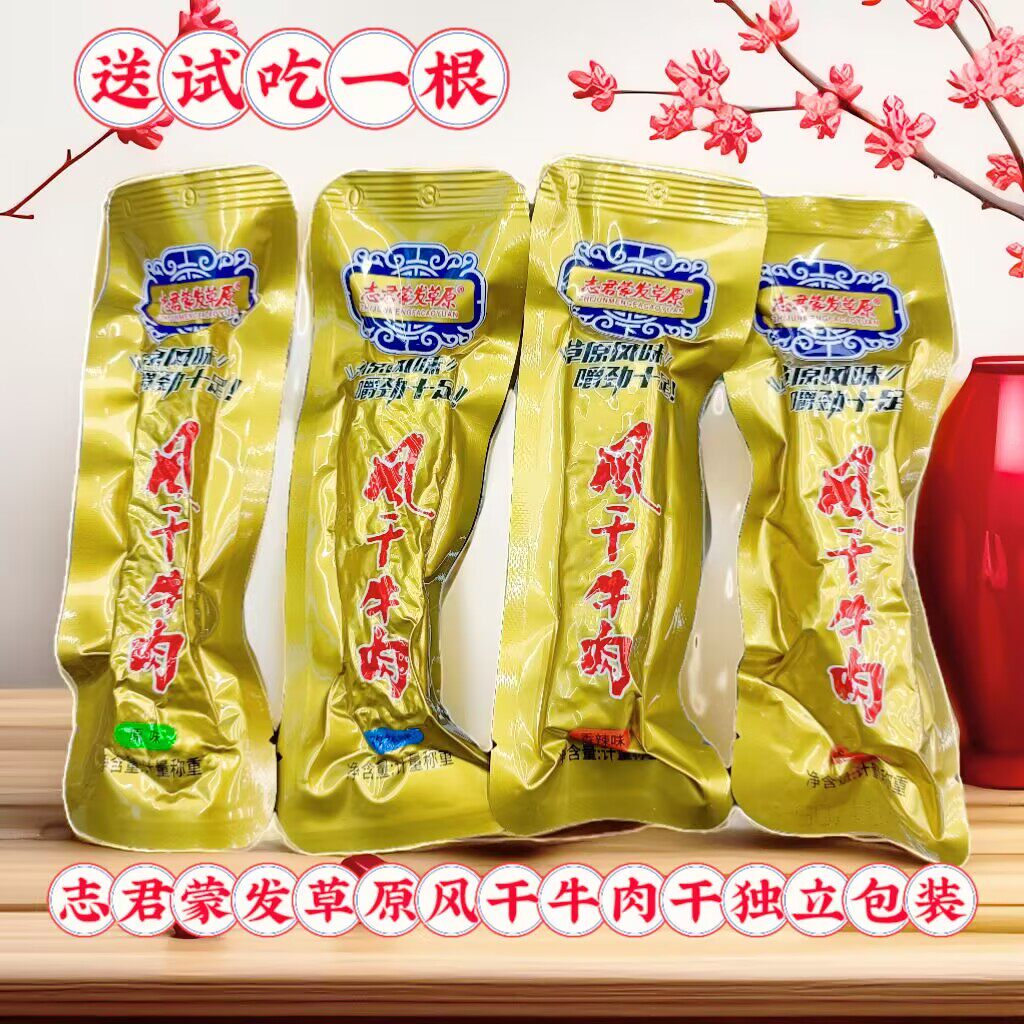志君蒙发草原风干牛肉干零食