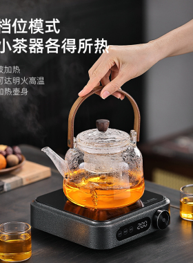 炉元素双控不锈钢电陶炉