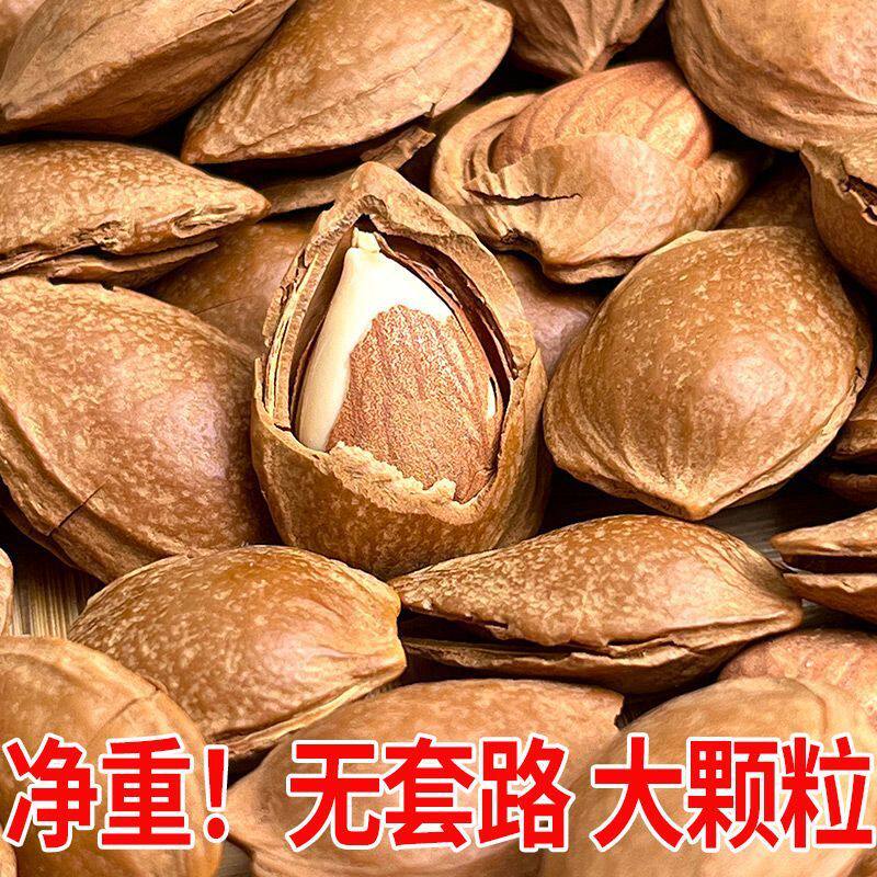 新货杏核净重500g袋装休闲干果零食办公室宿舍小吃带壳杏仁原味