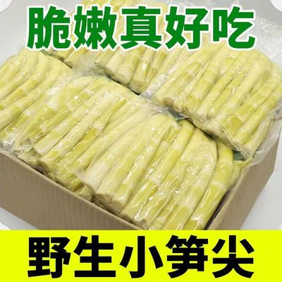 新鲜小竹笋嫩笋尖当季蔬菜笋丝鲜嫩脆爽去壳无老根手剥笋野生竹笋
