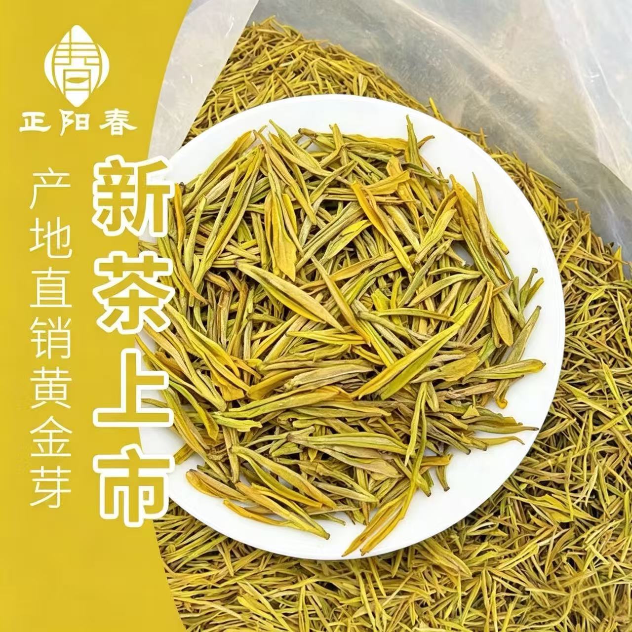 2026年产地直供明前优选黄金芽 浙江绿茶白茶茶叶现货散装