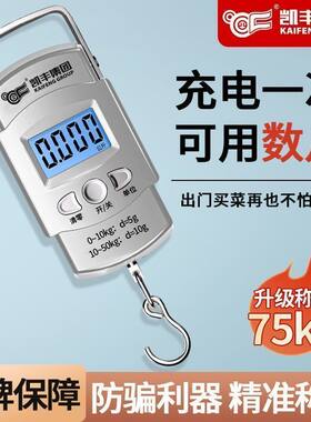 高精度便携可充电手提秤