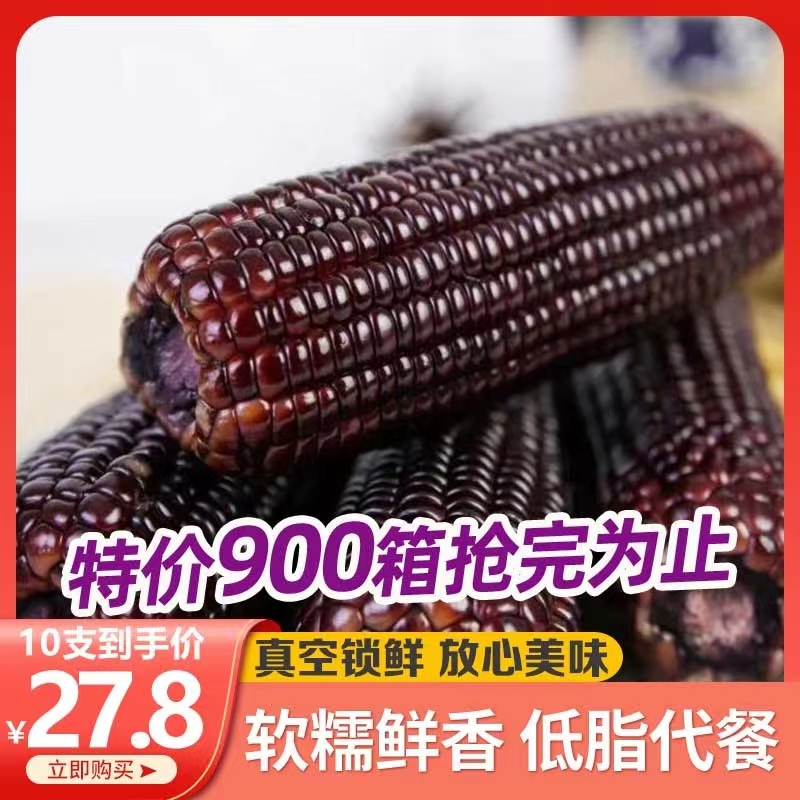 东北玉米杂粮黑玉米糯米新鲜东北黑糯玉米真空包装非转基因玉米10