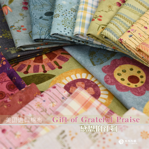 美国进口棉布 Gift of Grateful Praise 感恩的礼物 手工拼布 H3