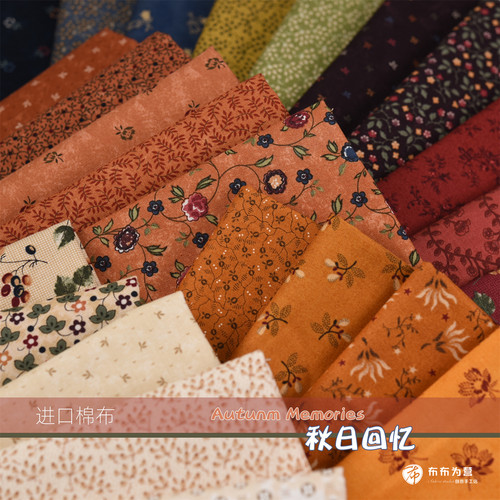 美国 日本进口棉布 手工拼布 Autunm Memories 秋日回忆E2
