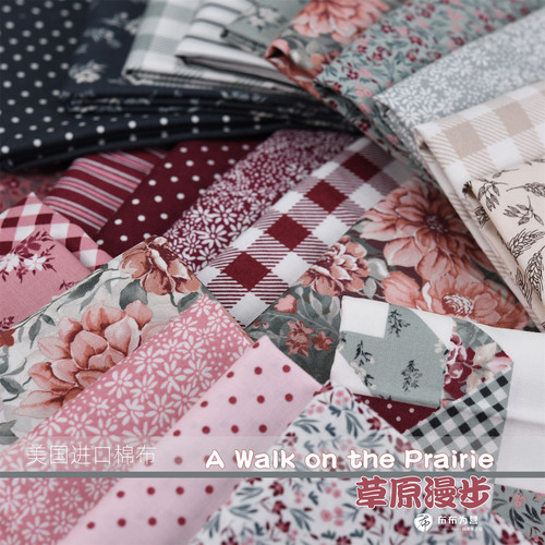 美国进口棉布 A walk on the Prairie 草原漫步 手工拼布 J4