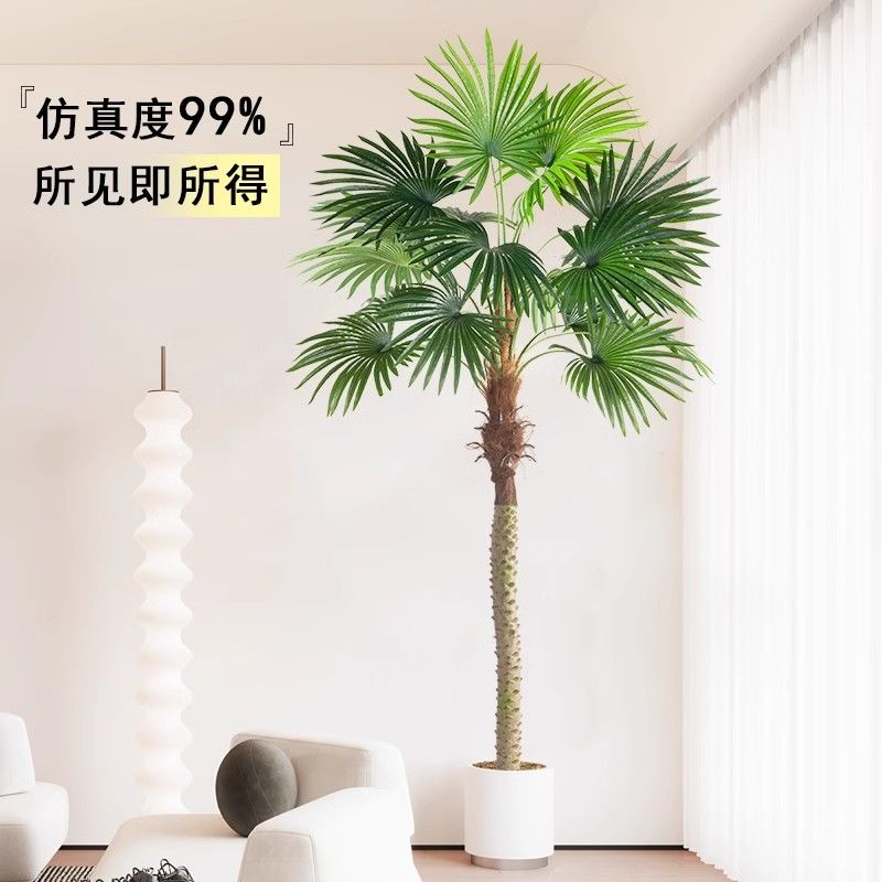 东南亚绿植扇葵刺葵直播间摆件