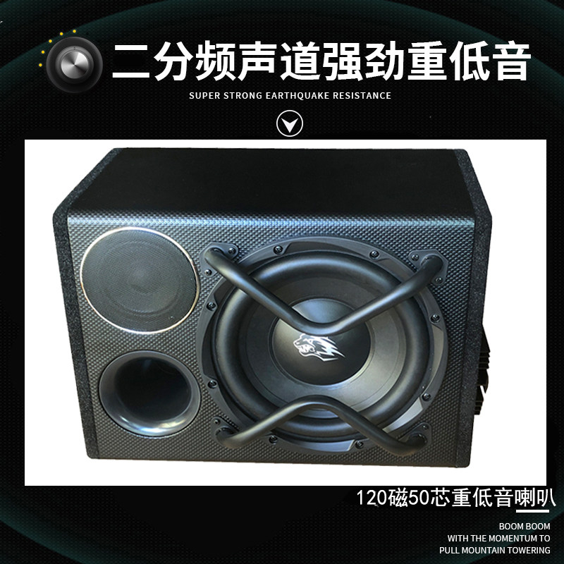 120磁10寸12V车载有源重低音炮220V插卡蓝牙插卡音响24V汽车音箱