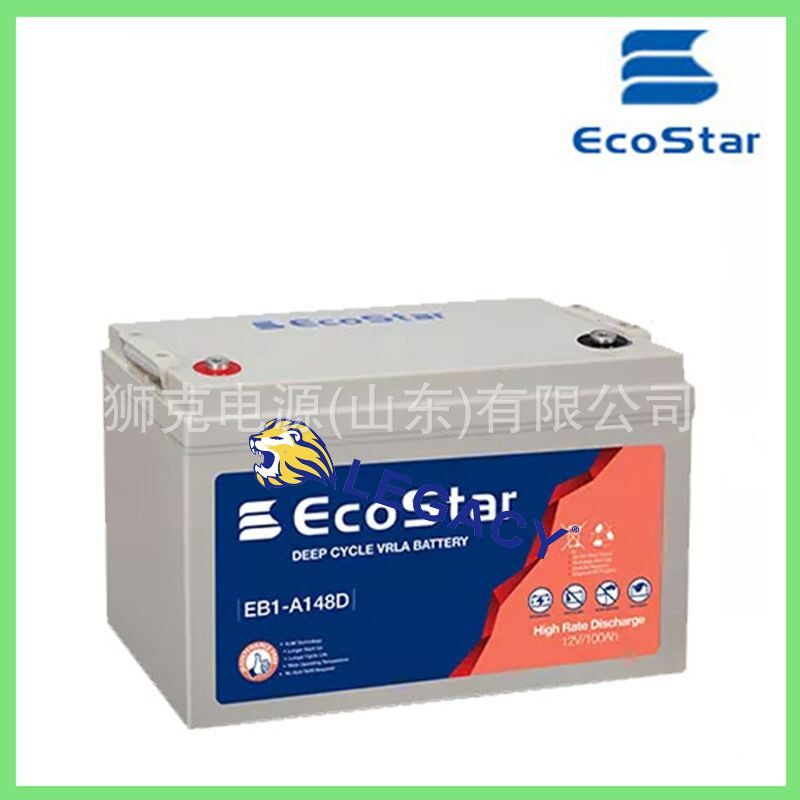 德国ECOSTAR蓄电池 EB1-A148D – 100 Amp深循环电池