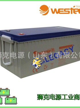德国WESTECH蓄电池WT-SG 200-12 12V200AH免维护储能电瓶