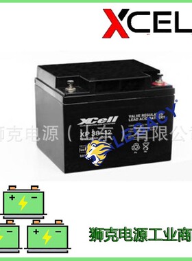 德国XCELL蓄电池12V145AH电瓶