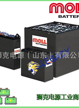 德国MOLL叉车蓄电池24V 48V 80V叉车电池组48V5PZS575