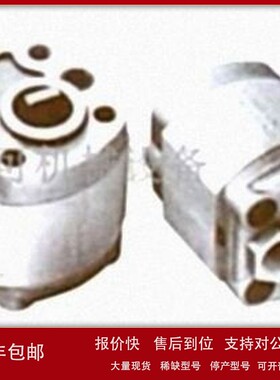 议价原装QCiST齿轮泵GEAR PUMP LX45V45RA/70 LX45V36RA/70 液压