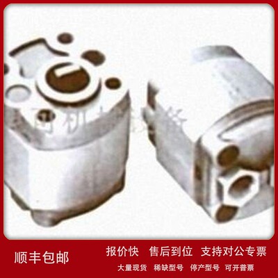 议价原装QCiST齿轮泵GEAR PUMP LX45V45RA/70 LX45V36RA/70 液压