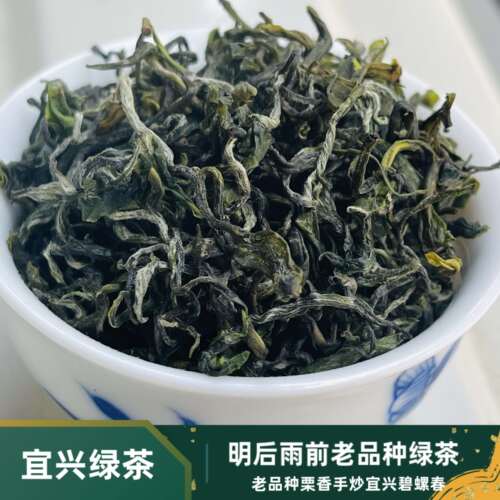 2026新茶明后雨前鸠坑老品种宜兴茗茶毛尖碧螺春绿茶500g袋装包邮