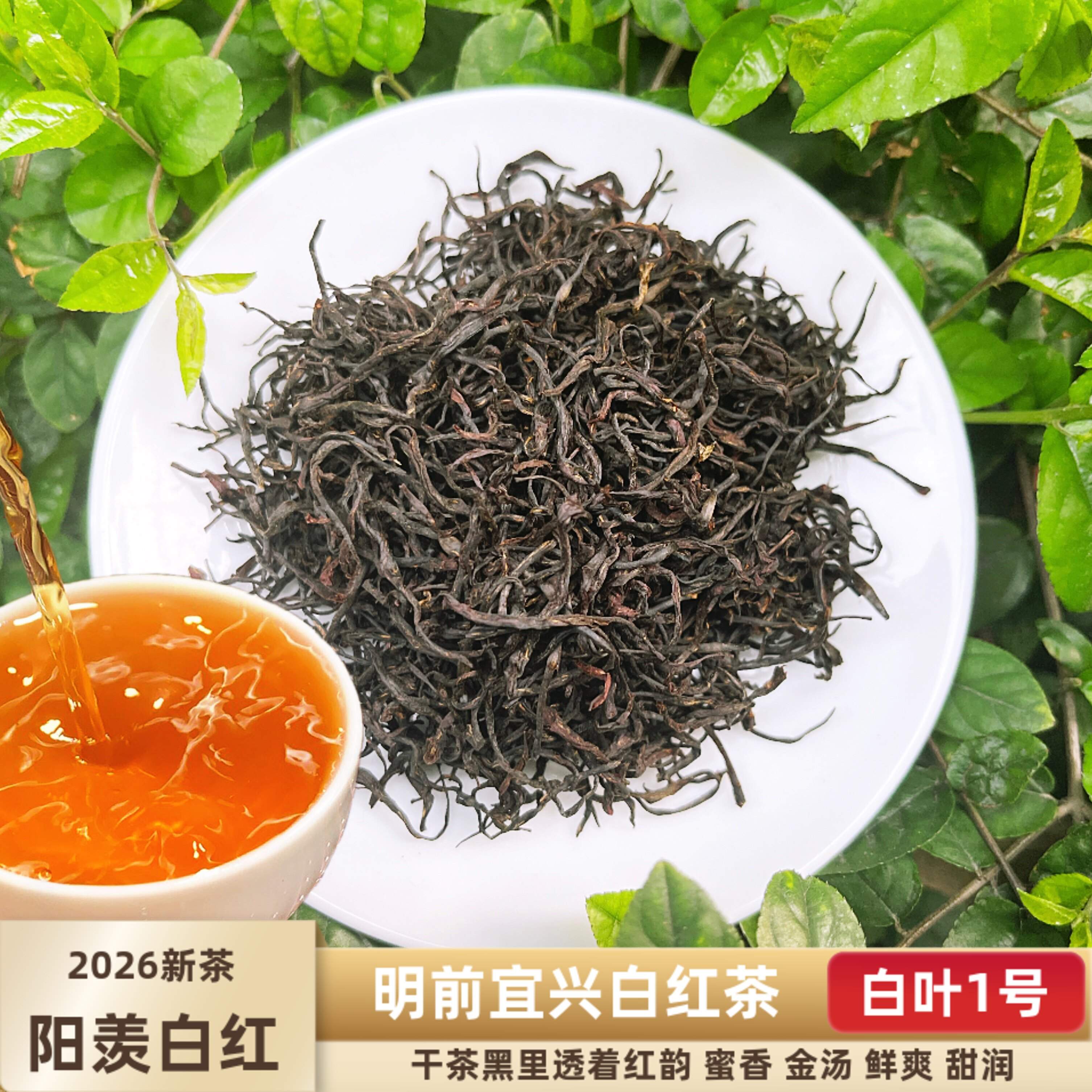 本地明前阳羡白红2026新茶宜兴白红茶蜜香型特级茶叶罐装包邮图片
