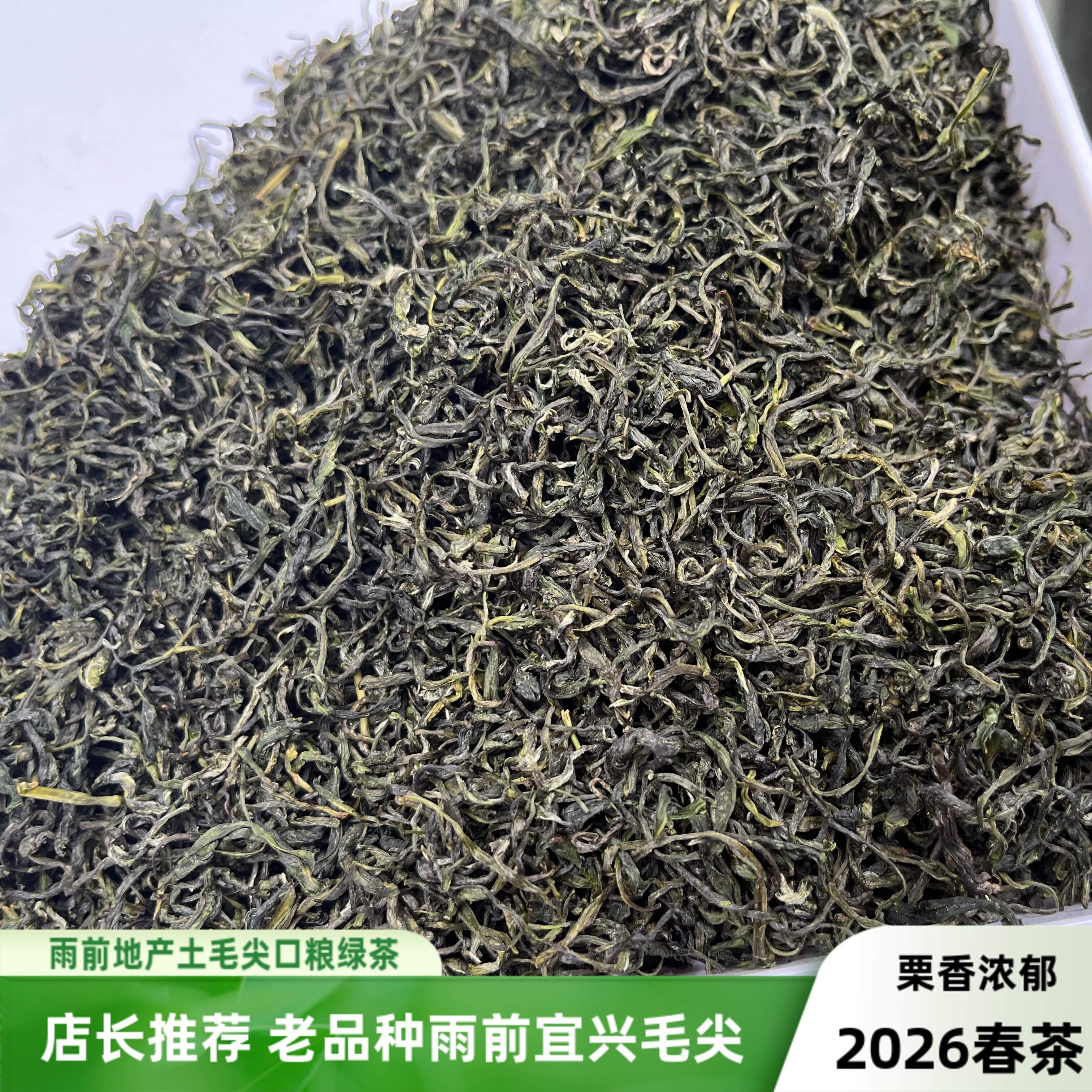 2026老品种栗香宜兴毛尖雨前茶耐泡无锡地产绿茶500g散装袋装包邮
