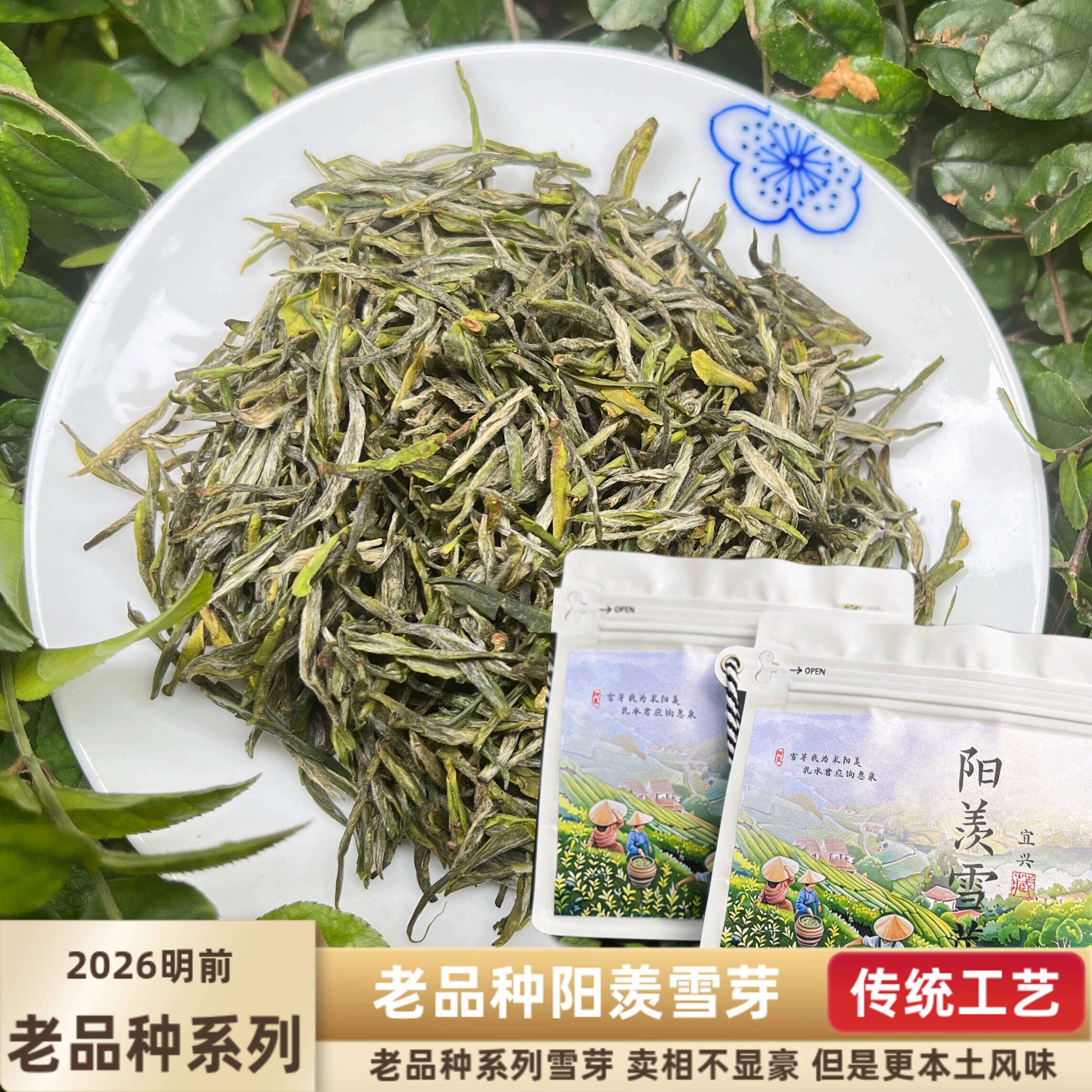 2026新茶明前老品种阳羡雪芽宜兴茗茶手炒绿茶250g袋装罐装包邮