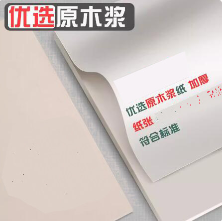 원고 A4 용지 초등학교 중학생 대학원 입시 특별 계산 백지 A3 필기 신문 그림 여백