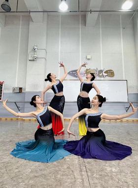 新款成人傣族舞蹈演出服练功练习民族半身裙渐变修身孔雀舞鱼尾裙