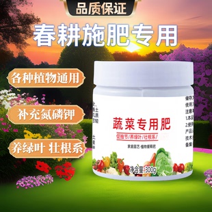 蔬菜专用肥 有机肥料家用种菜缓释颗粒营养水溶肥果蔬通用型肥