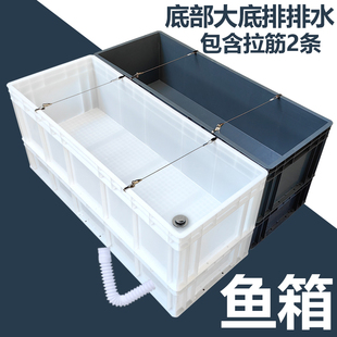 养殖箱大号塑料鱼箱鱼缸专用用箱带拉筋加厚龟箱底排水族箱金鱼缸