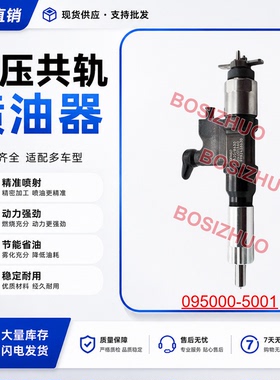 095000-5001喷油器总成8-97306071-2适用于4HJ1 6HJ1 全新优质货