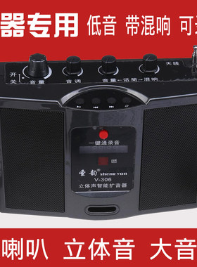 二胡扩音器带混响户外大音量圣韵