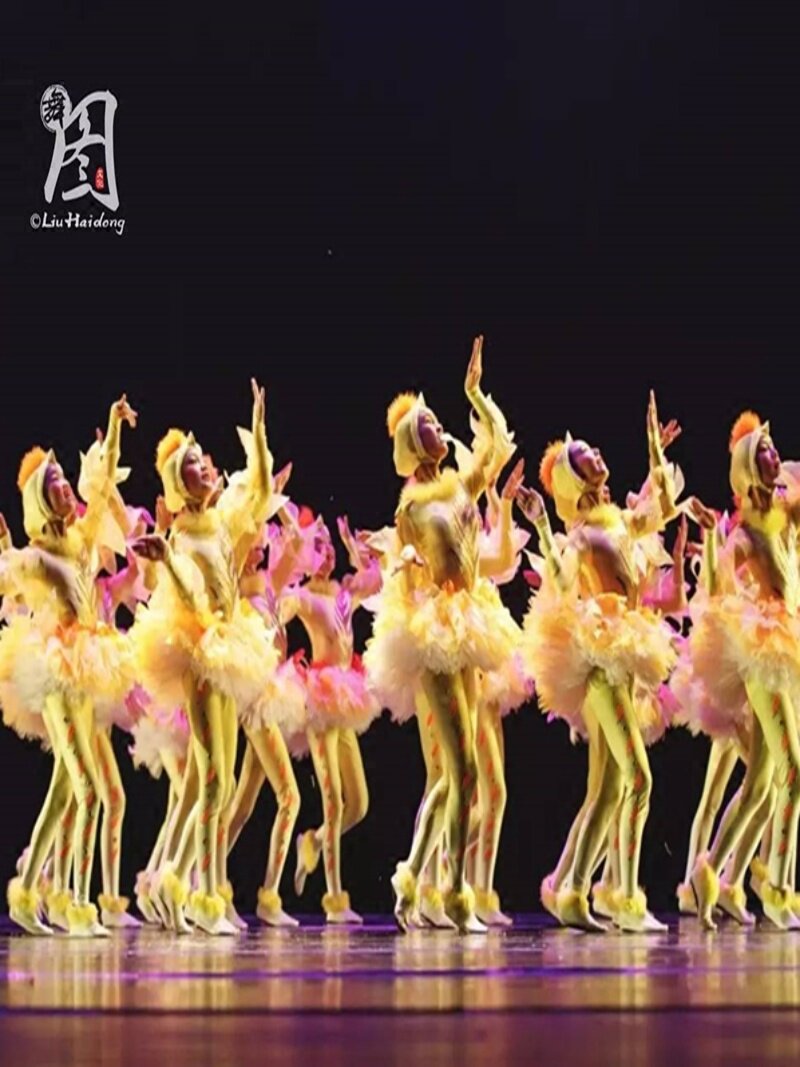 包邮第九届小荷风采快乐的鸡娃娃儿童表演服幼儿小鸡舞台演出服