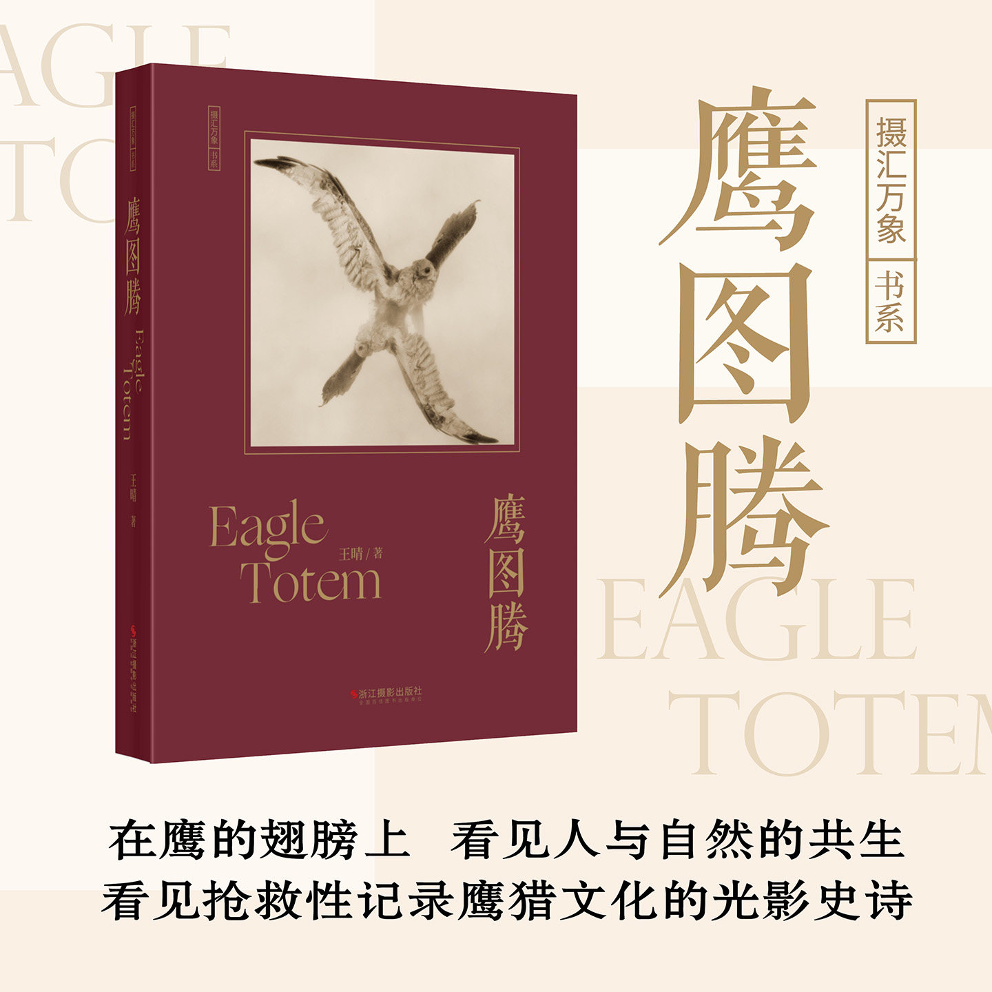 鹰图腾摄汇万象书系王晴著 纪实摄影猎鹰文化展现新疆独特人文 近200张高清大图 从草原到城市 一份探寻精神原乡的视觉档案图片