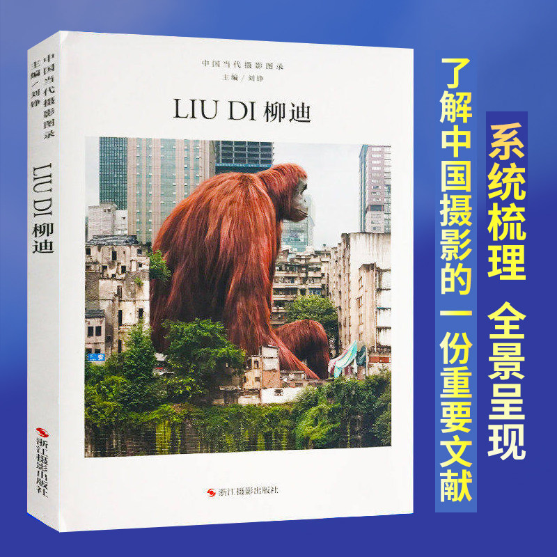 摄影大师成名作摄影高清作品集/新纪实摄影照片解析/摄影作品画册鉴赏