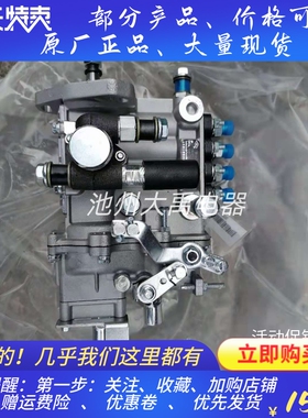 常发CF4B41G发动机柴油大泵常发490发动机燃油泵喷油泵4Q317SD-1