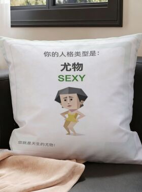 新款爆火SBTI人格测试印花抱枕简约现代家居宿舍办公室装饰靠枕