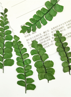 铁线蕨干花diy天然手机壳diy