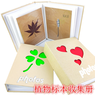 干花真树叶标本册小学生植物标本收集册风景画收集干花压花DIY