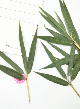 竹叶手工干花压花装饰植物标本