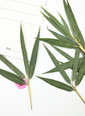 竹叶手工干花压花装饰植物标本