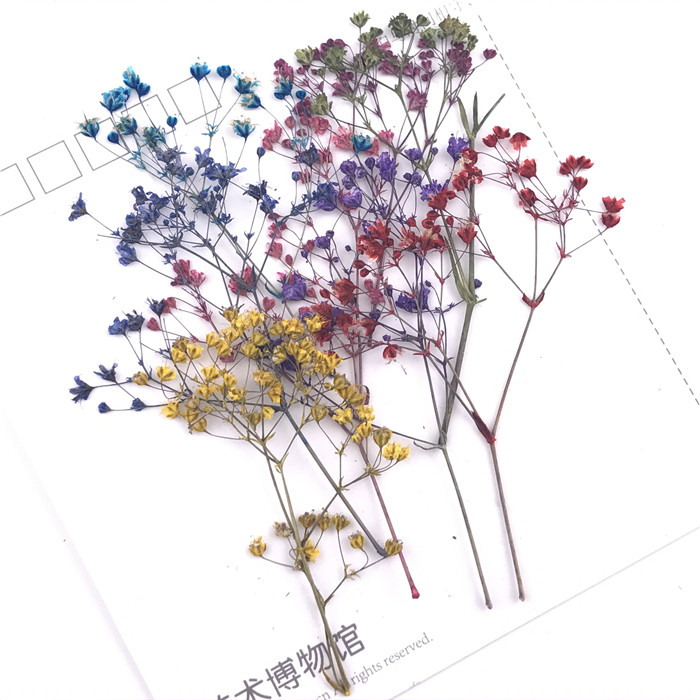 满天星细枝霞草材料滴胶未了干花