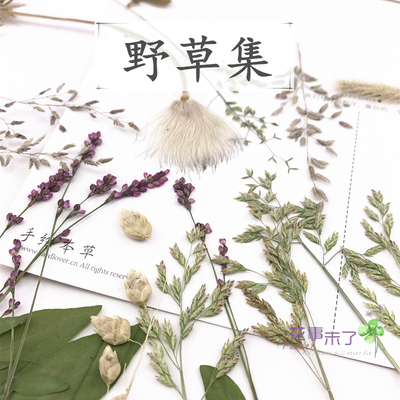 树叶DIY香薰蜡片干花花事未了
