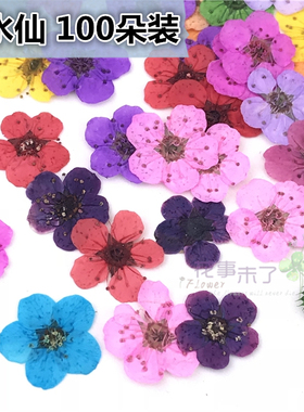 小水仙植物标本滴胶儿童diy干花