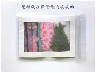 花材保管袋 保管带 干花储放袋押花干燥袋 押花器配套用 花事未了