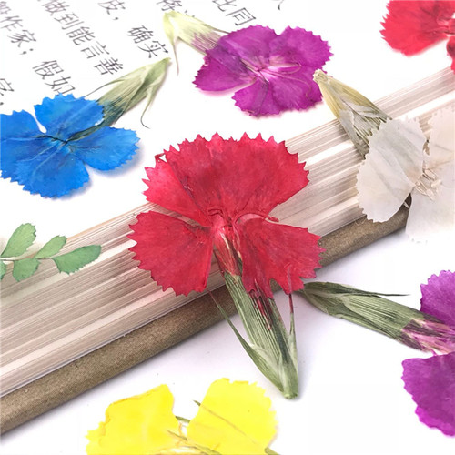 干花滴胶手机少女香薰蜡片
