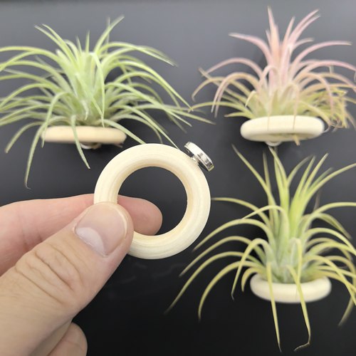 diy磁吸木环冰箱贴空气凤梨支架