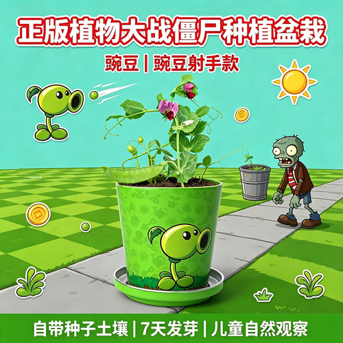 植物大战僵尸联名豌豆种植盆栽